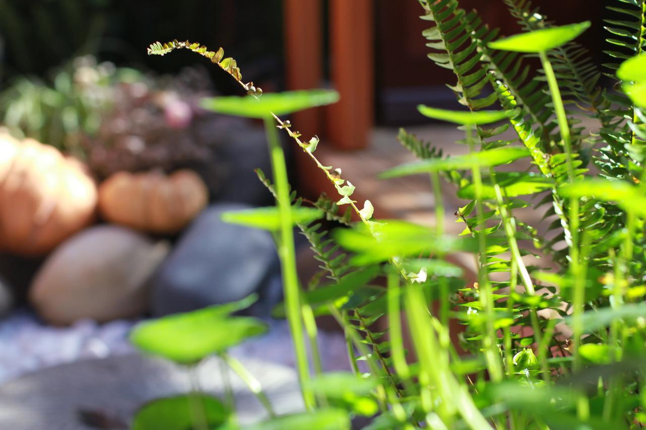 Lijiang Sunshine Nali Inn Ngoại thất bức ảnh